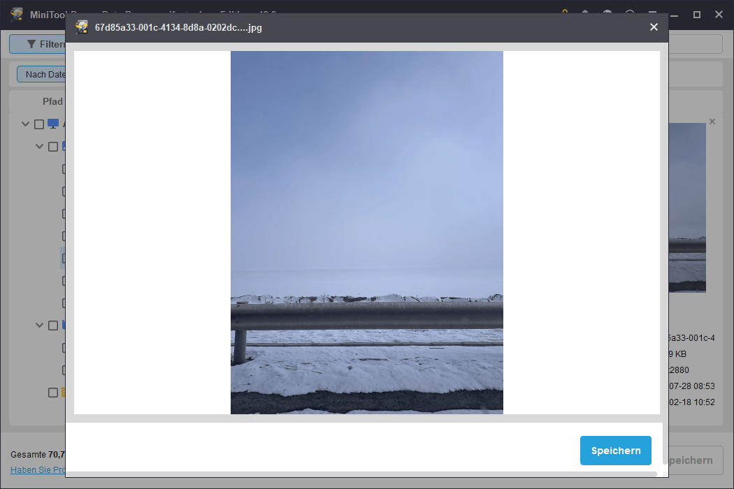 Vorschau des Fotos in MiniTool Power Data Recovery.