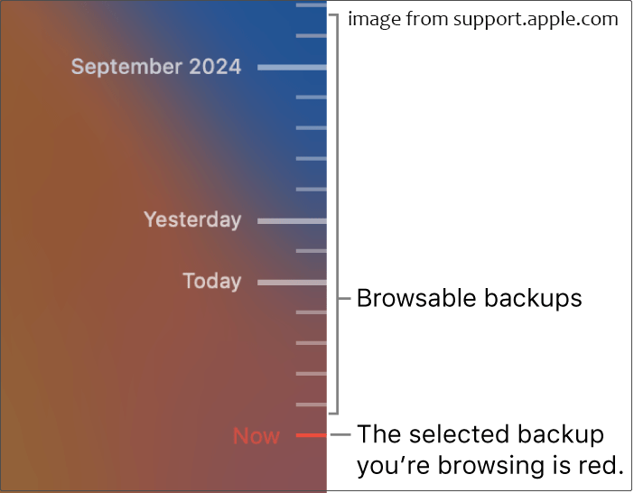 Wiederherstellung gelöschter Dateien aus dem Papierkorb auf dem Mac.