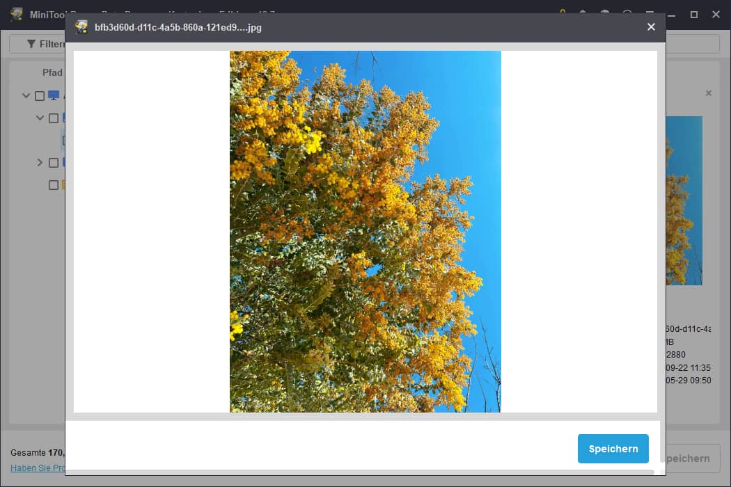 Die Funktion Vorschau in MiniTool Power Data Recovery.