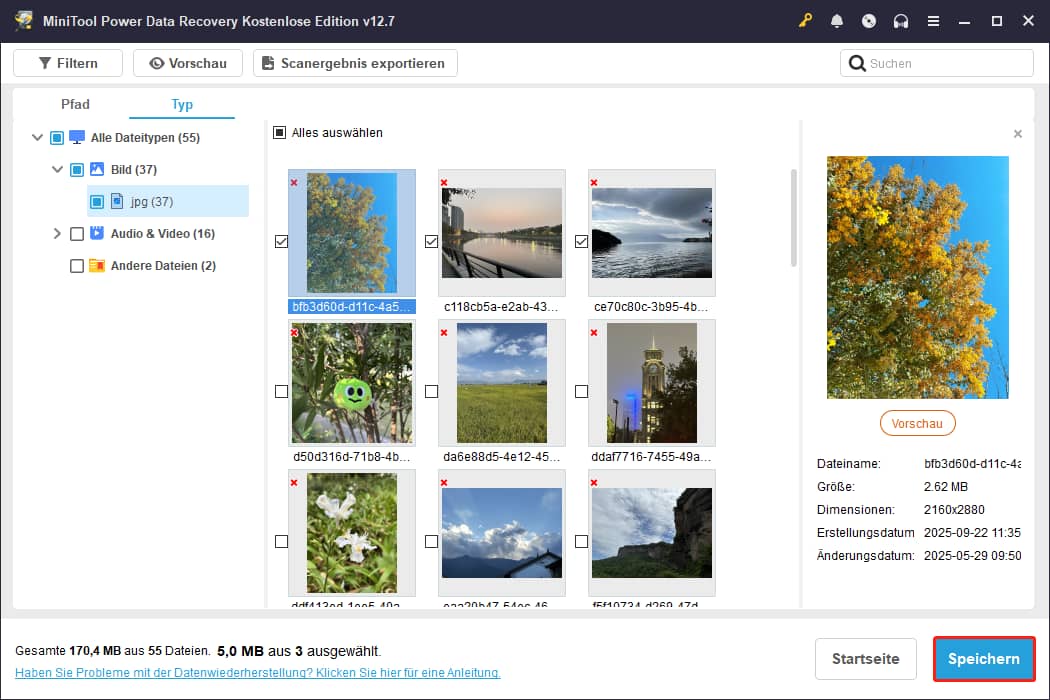 Auswahl aller wiederherzustellenden Dateien und Klick auf die Schaltfläche Speichern in MiniTool Power Data Recovery.