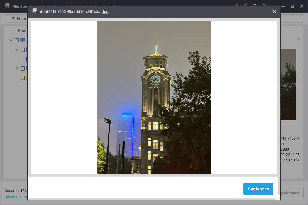 Anzeige eines Fotos im Vorschaufenster von MiniTool Power Data Recovery.