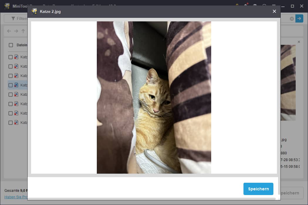 Vorschau der gewünschten Dateien in MiniTool Power Data Recovery.