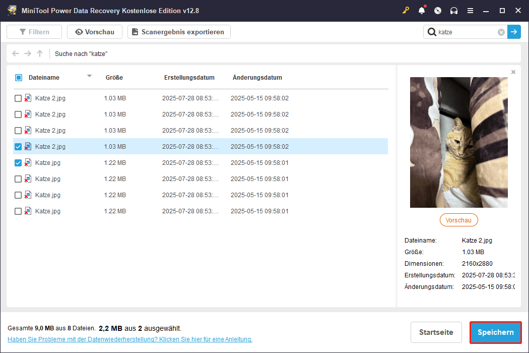 Markieren Sie die gewünschten Dateien und klicken Sie in MiniTool Power Data Recovery auf Speichern.
