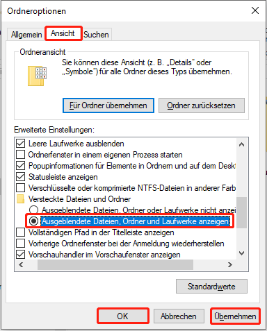 Ausgeblendete Dateien, Ordner und Laufwerke anzeigen auswählen.