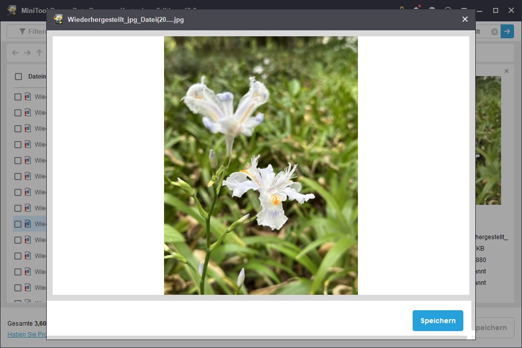 Anzeigen der Dateivorschau in MiniTool Power Data Recovery.