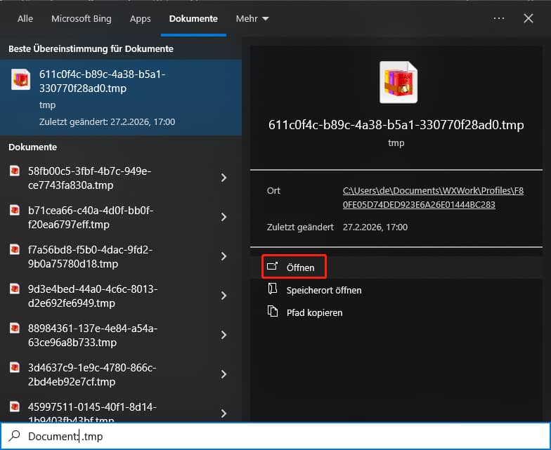 Klicken Sie auf Öffnen.