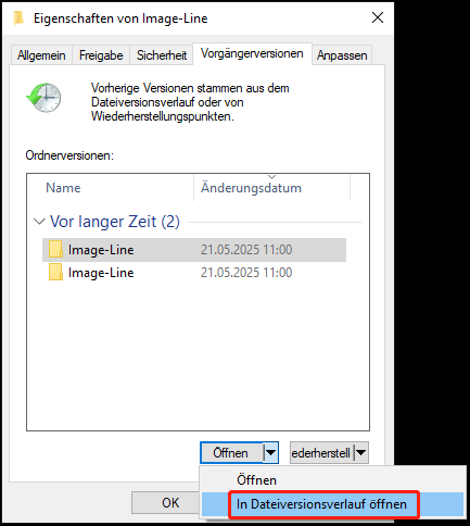 Auswahl der Option In Dateiversionsverlauf öffnen.