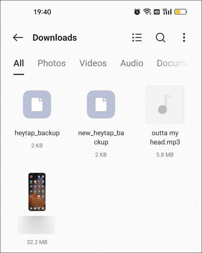 Heruntergeladenen Dateien in Downloads.
