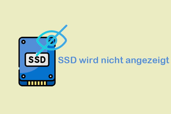 Ein Leitfaden zur Behebung von SSD wird unter Windows 10/11 nicht angezeigt