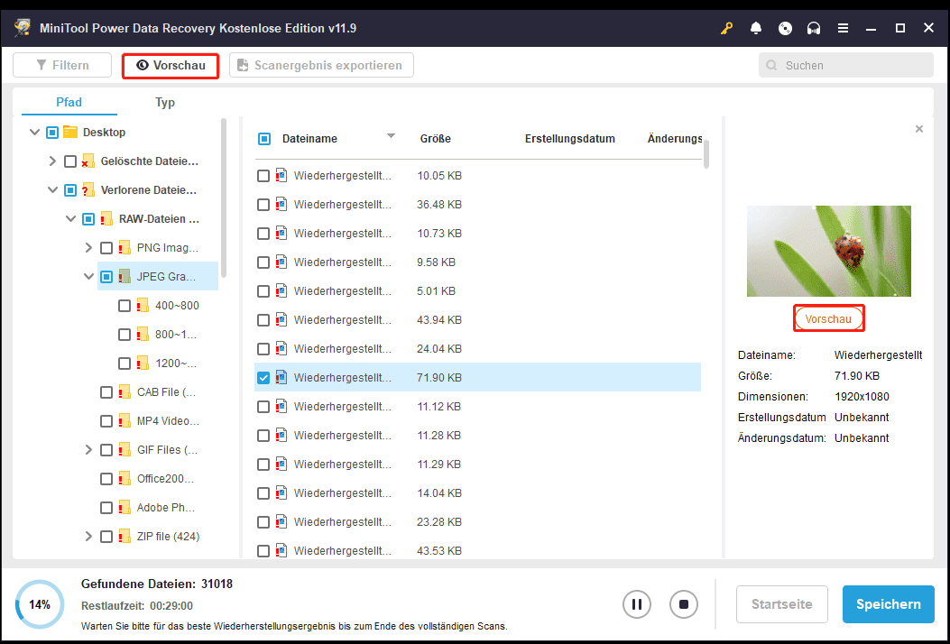 Auswahl der Schaltfläche „Vorschau“ zur Anzeige der Datei in MiniTool Power Data Recovery