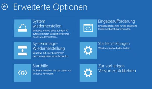 Auswahl von Problembehandlung und anschließend Erweiterte Optionen im Fenster Option auswählen.
