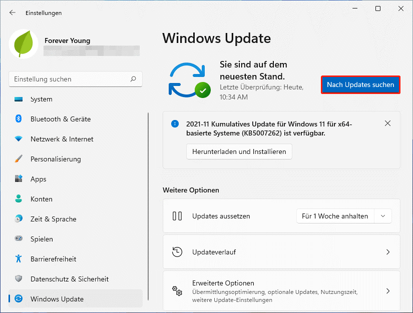 Überprüfen Sie die Updates unter Windows 11