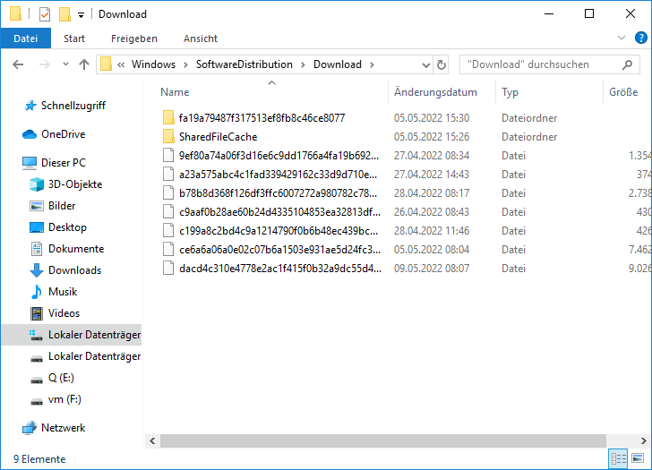C:WindowsSoftwareDistributionDownload