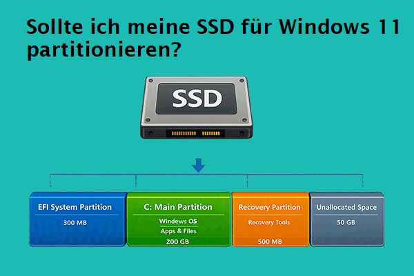 Sollte ich meine SSD für Windows 11 partitionieren? Eine umfassende Anleitung