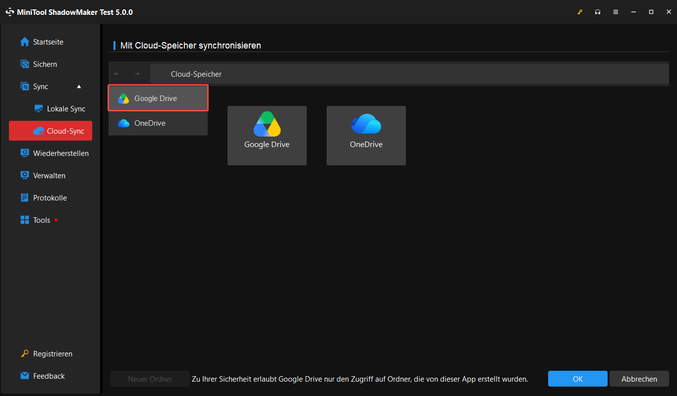 Fenster „Mit Cloud-Speicher synchronisieren“ mit markiertem „Google Drive“.