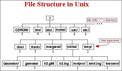 Dateistruktur in Unix