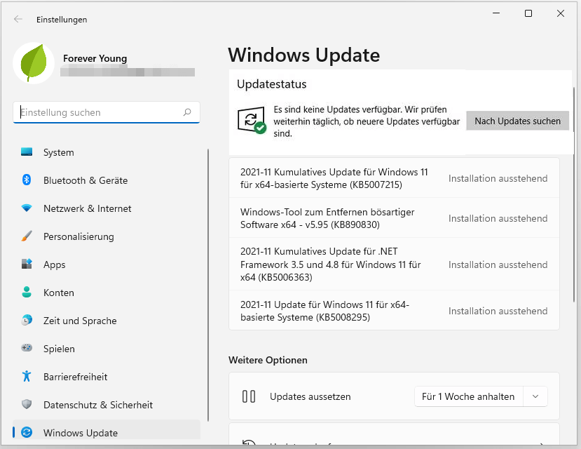 Klicken Sie auf Nach Updates suchen Windows 11