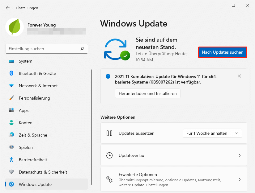 Windows 11-Update   