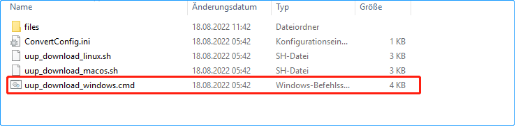 uup_download_windows.cmd ausführen
