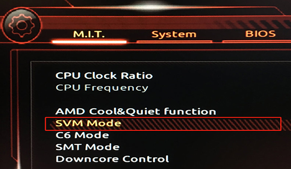 AMD SVM-Modus