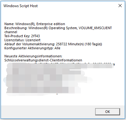 Windows Skript Host