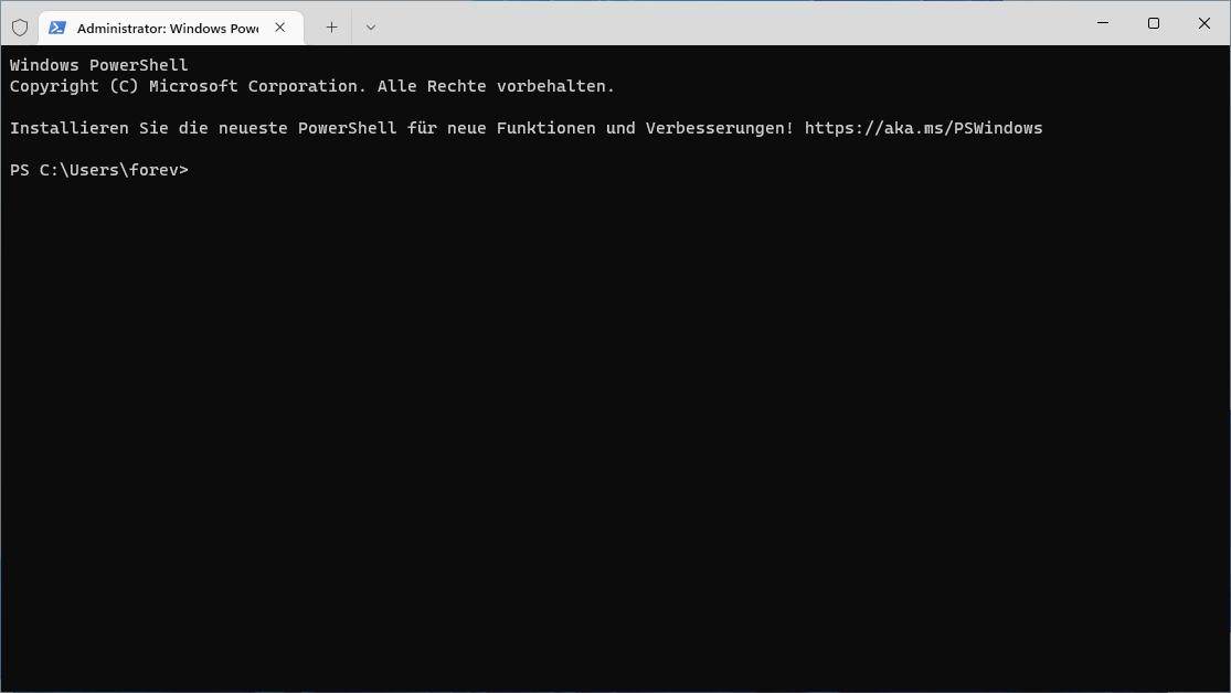 Screenshot von Windows Terminal in Windows 11
