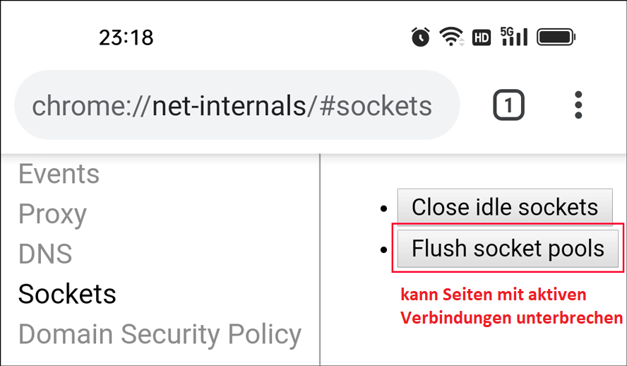Socket-Pools in Chrome auf dem Handy leeren