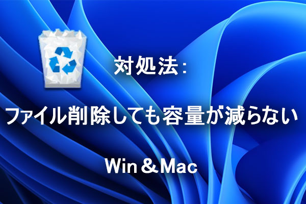 【Win＆Mac】対処法：ファイル削除しても容量が減らない