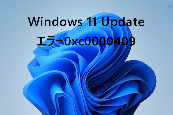 Windows Updateエラー0xc0000409の修正方法5つ【Windows 11 22H2】