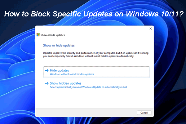 Windows 10/11で特定の更新プログラムを非表示/停止/ブロックする方法