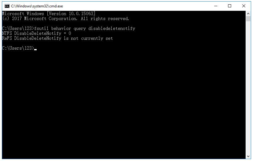 オプションを取得します: NTFS DisableDeleteNotify = 0