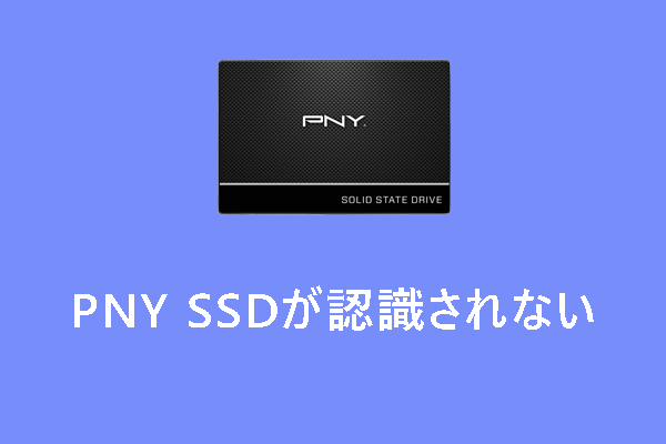 【Windows 10/11】PNY SSDが認識されない時の対処法