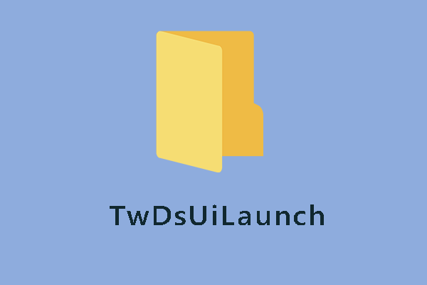 TwDsUiLaunch.exeとは？削除すべき？