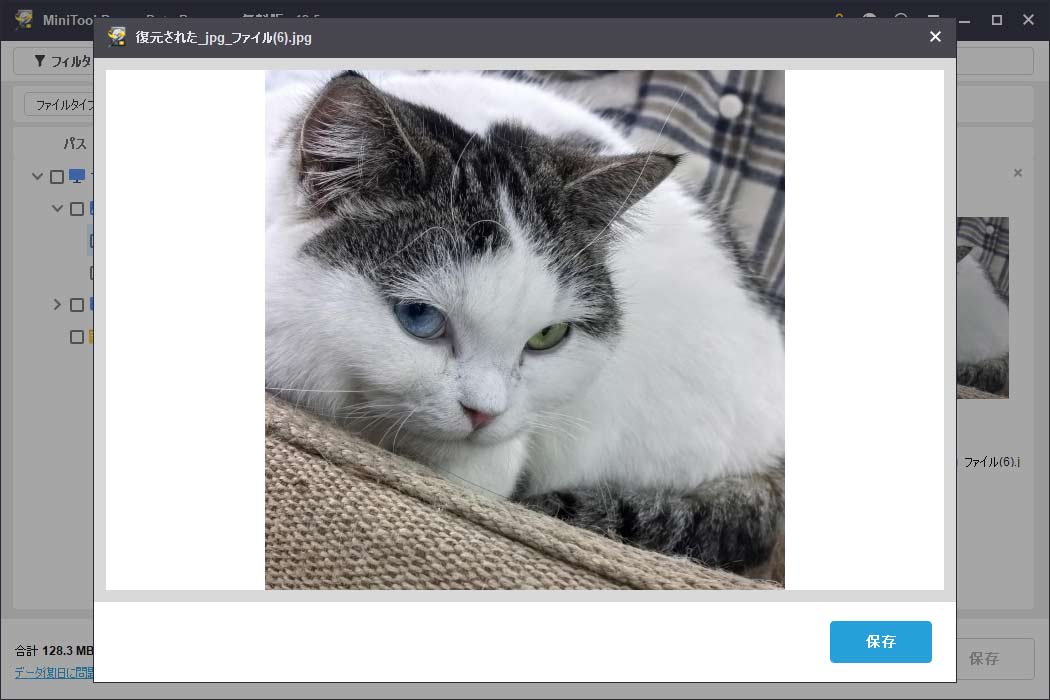 MiniTool Power Data Recoveryのプレビュー機能を使ってファイルをプレビュー