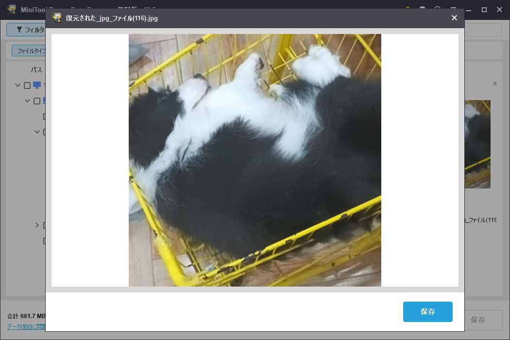 MiniTool Power Data Recoveryのプレビュー機能を使ってファイルの内容を確認