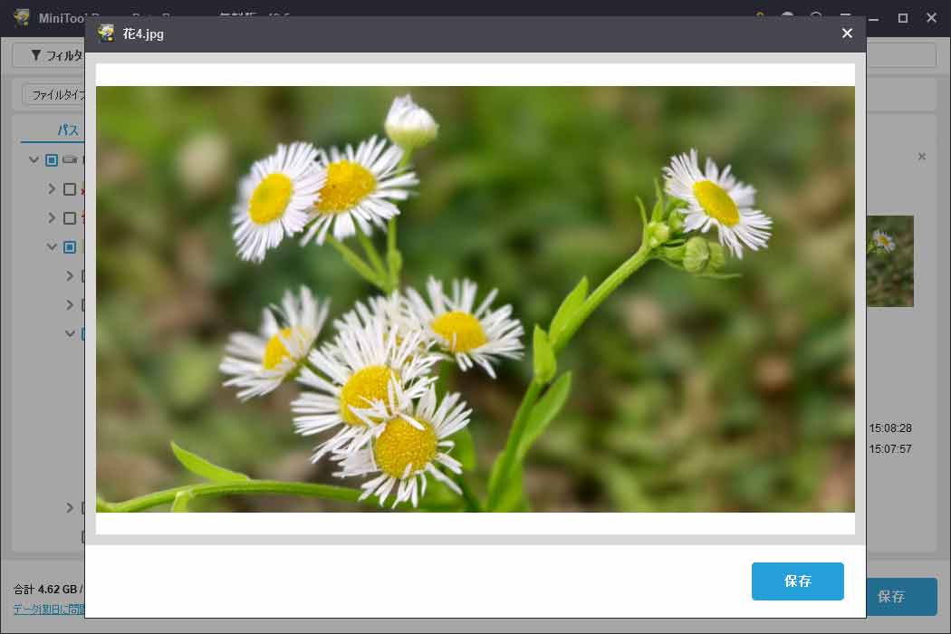 MiniTool Power Data Recoveryのプレビュー機能を使ってファイル内容を確認