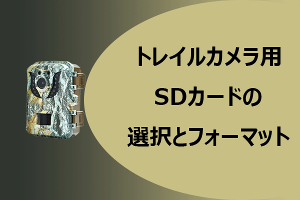 トレイルカメラ用SDカードの選び方と正しいフォーマット方法