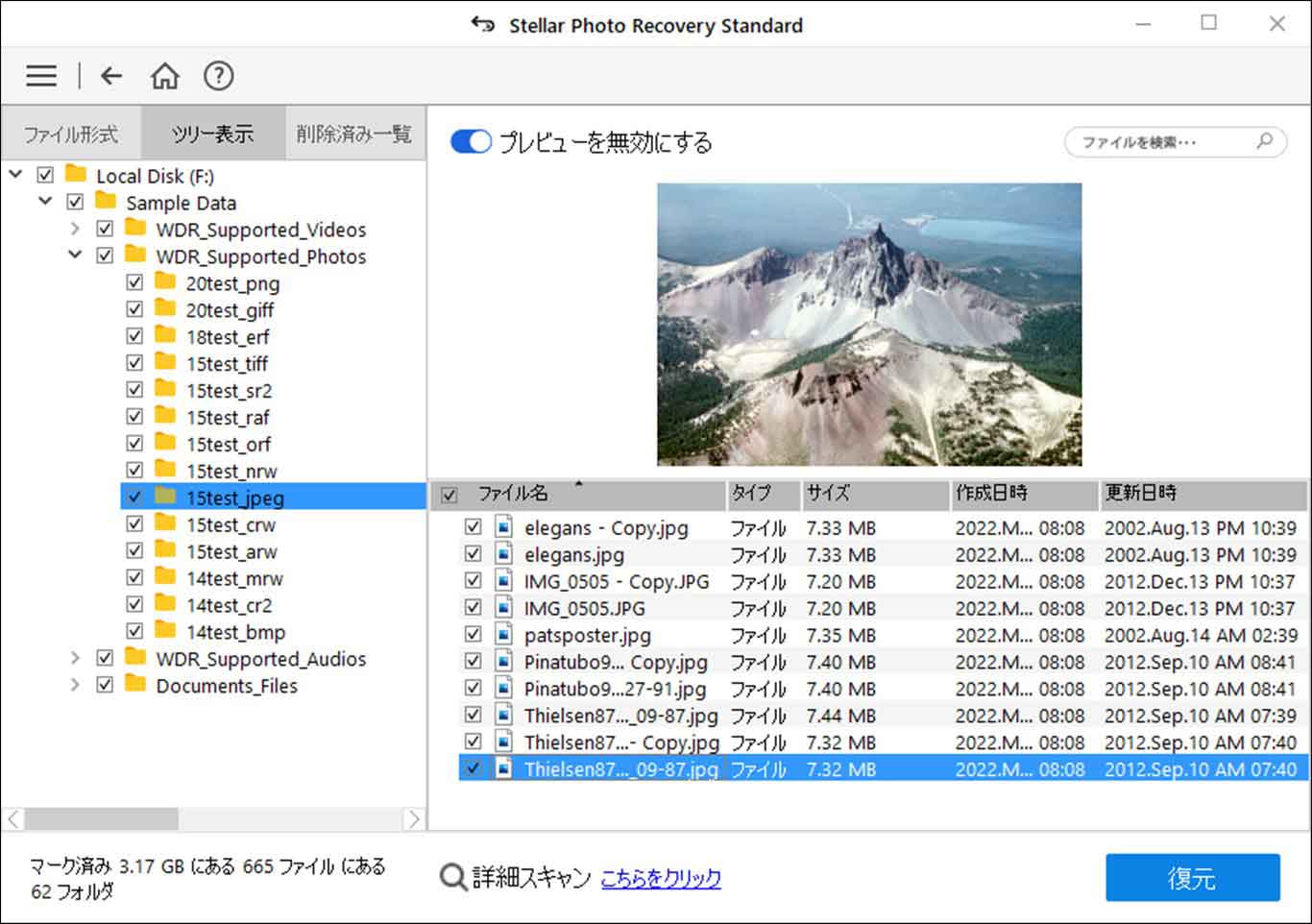 Stellar Photo Recovery
