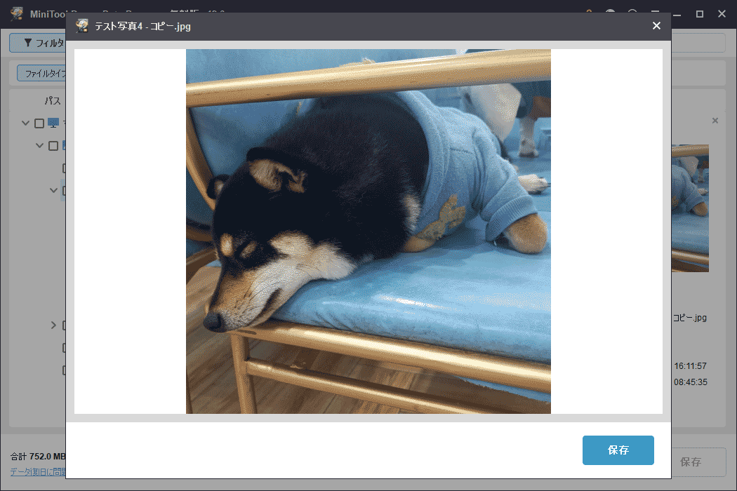 見つかった項目をプレビューして、それらが必要なファイルであることを確認