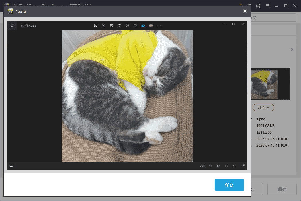 ファイルをダブルクリックするか、「プレビュー」ボタンをクリックしてプレビューする