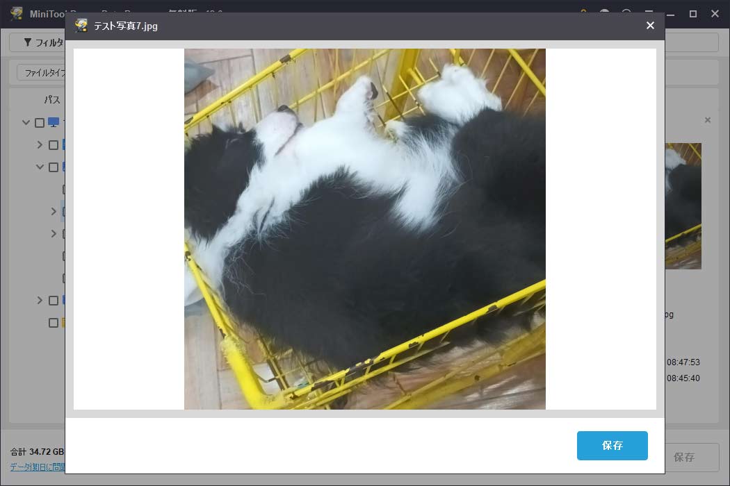 MiniTool Power Data Recoveryのプレビュー機能を使ってファイルをチェック