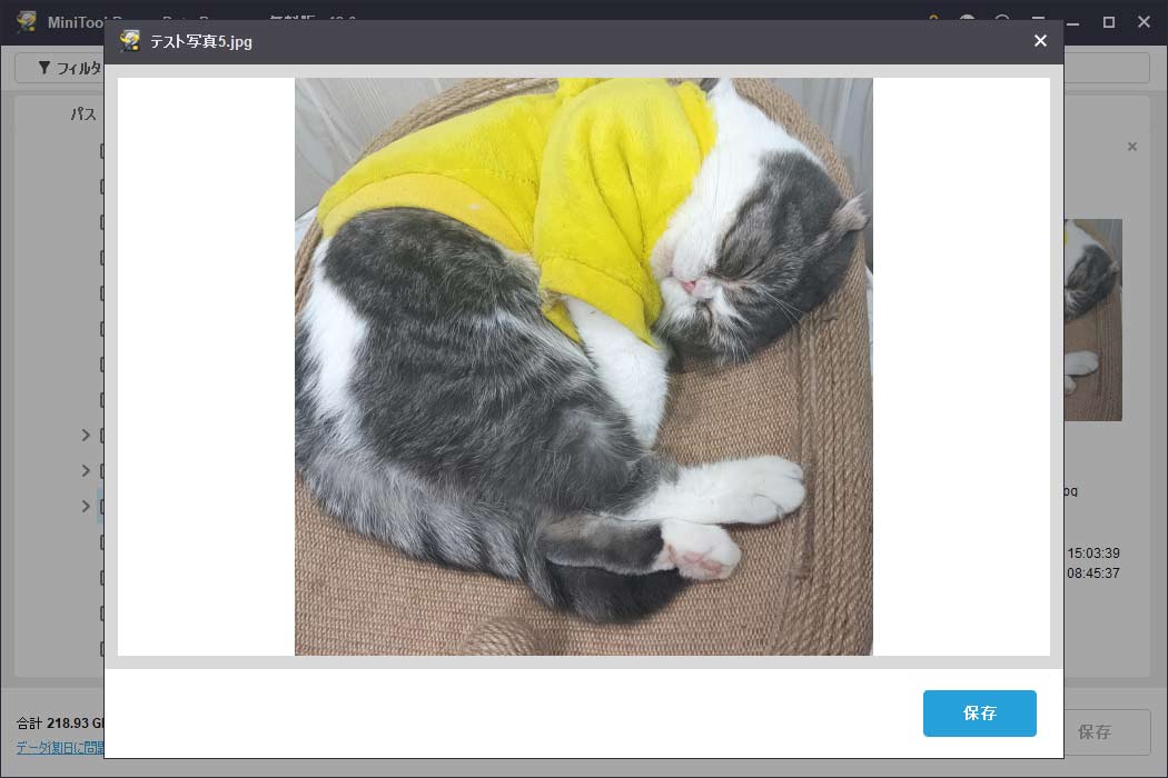 ファイルをプレビューして内容を確認