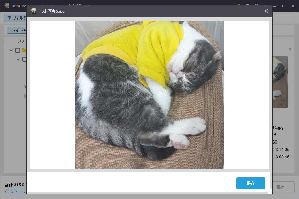 MiniTool Power Data Recoveryでファイルをダブルクリックした後のプレビュー画面