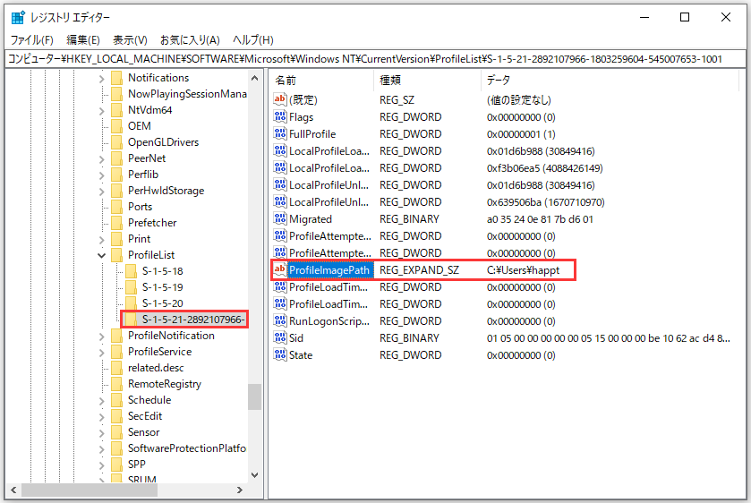 レジストリエディターで自分のユーザープロファイルに対応する ProfileImagePathエントリを確認している画面