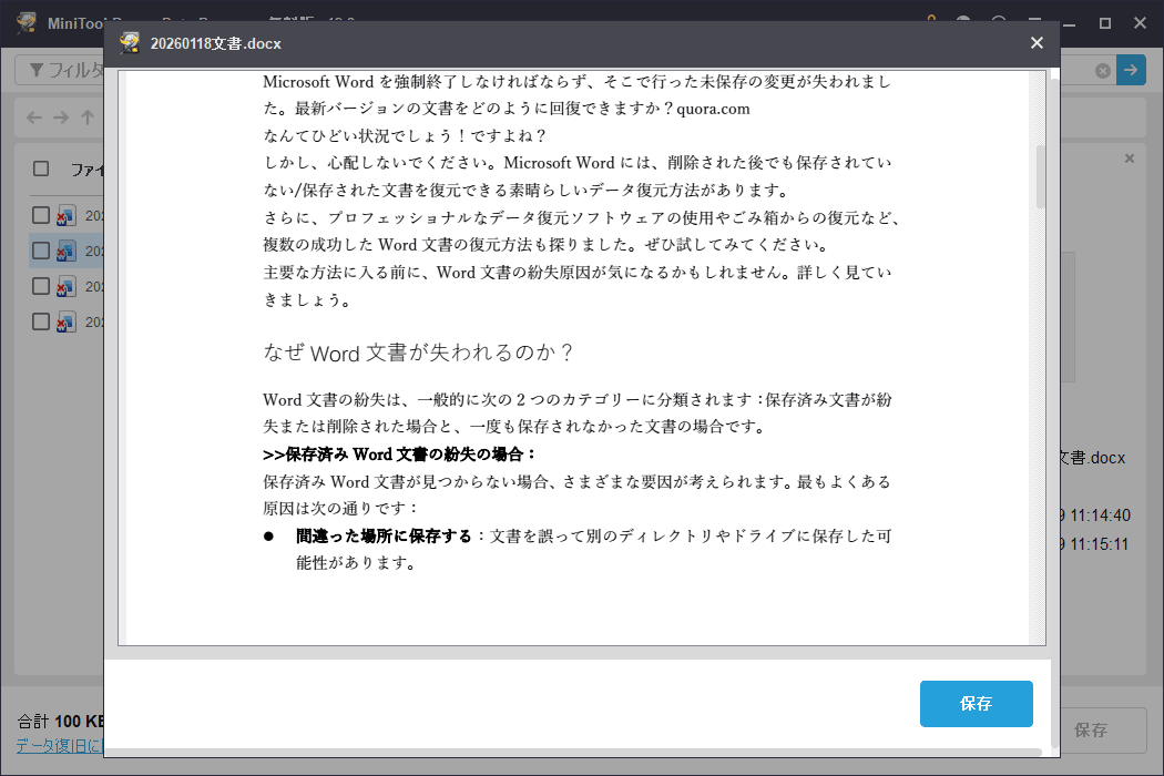 MiniTool Power Data Recoveryでのファイルプレビューウィンドウ