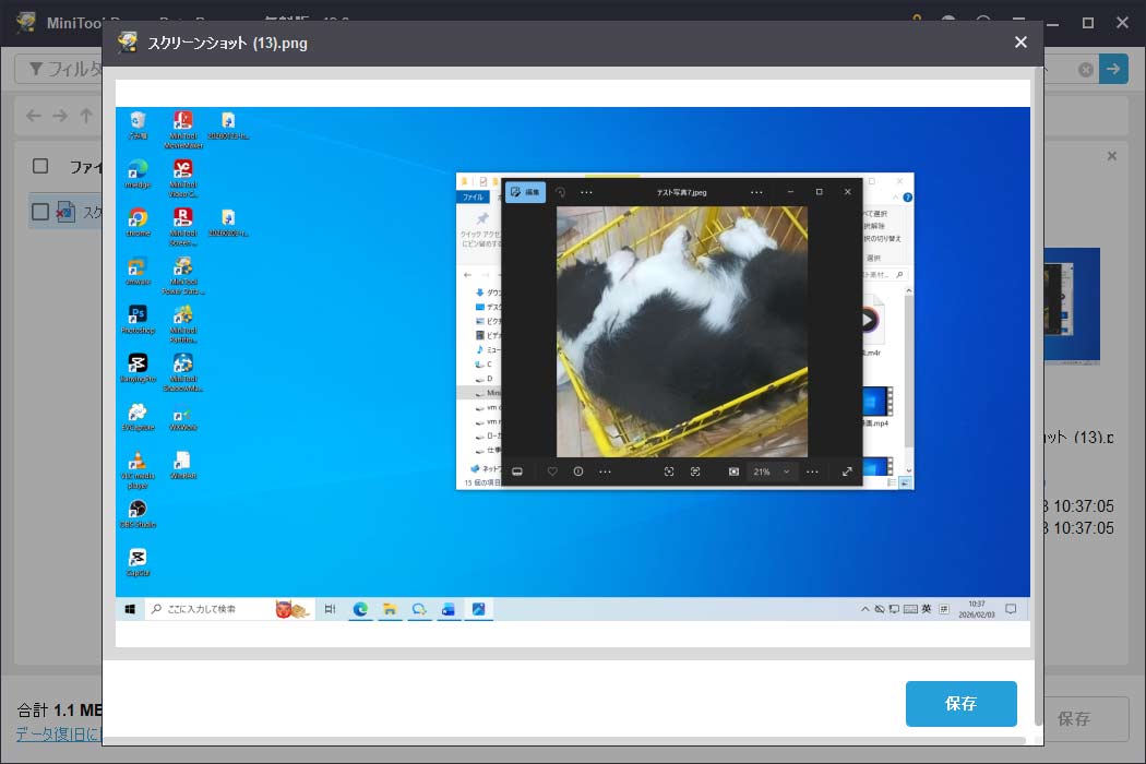 MiniTool Power Data Recoveryのプレビュー画面