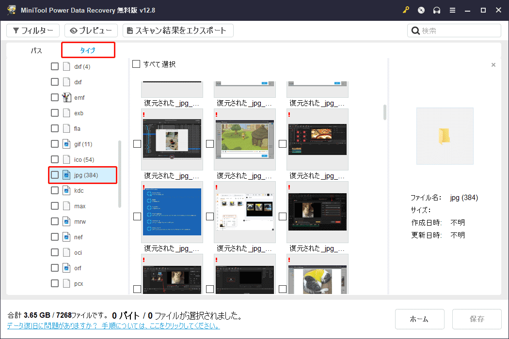 MiniTool Power Data Recoveryの「タイプ」タブの下にある「jpg」オプション