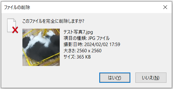 「このファイルを完全に削除しますか？」というエラーメッセージ