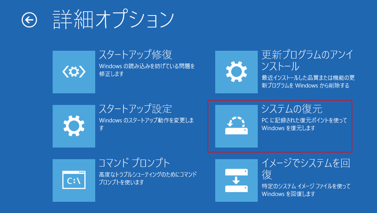 「詳細オプション」のインターフェイス