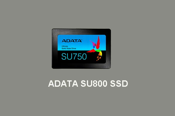 Adata Increases the Capacity of SU800 SSD to 2TB